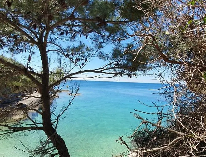 Second Lejlighed Banjole